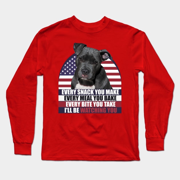 Black Pitbull Dog With American Flag Sarcastic Saying Long Sleeve T-Shirt by badCasperTess